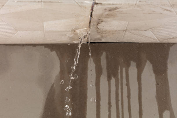 Professional Water Damage Restoration technician working in Greenville, OH